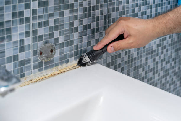 Best Bathroom Mold Remediation in Meadowbrook, VA