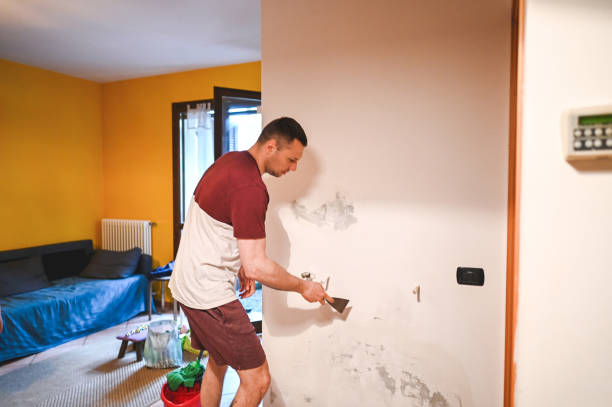 Best Mold Remediation for Specific Building Types in Meadowbrook, VA